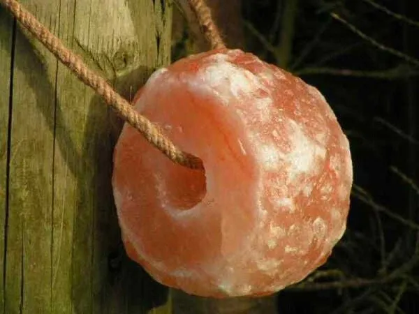 Himalaian Lickstone for horses 2-2,5 kg